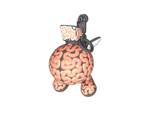 CharmBig Brain