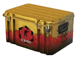 Weapon CaseDanger Zone Case