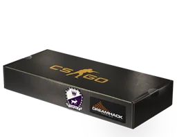 DreamHack 2014Cobblestone