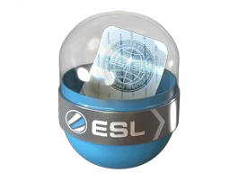 EMS Katowice 2014Challengers