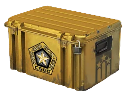 Weapon CaseGamma Case