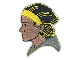 PatchAlyx