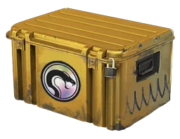 Weapon CaseRecoil Case