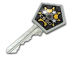 Revolver Case