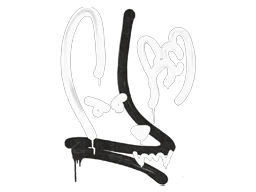 GraffitiRecoil M4A4