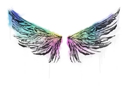 GraffitiWings
