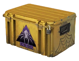 Weapon CaseShattered Web Case