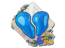 Rio 202200 Nation