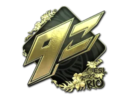 Rio 20229z Team (Gold)