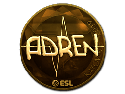 Katowice 2019AdreN (Gold)