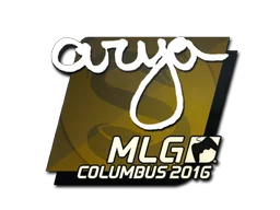 MLG Columbus 2016arya