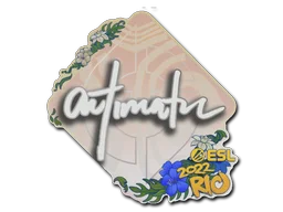 Rio 2022autimatic