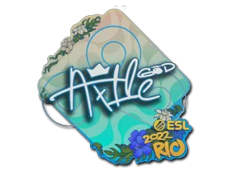 Rio 2022Ax1Le
