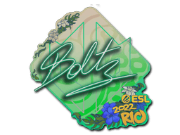Rio 2022boltz