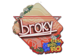Rio 2022broky