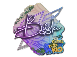 Rio 2022BUDA