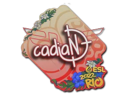 Rio 2022cadiaN