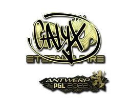 Antwerp 2022Calyx (Gold)