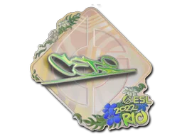 Rio 2022CeRq (Holo)