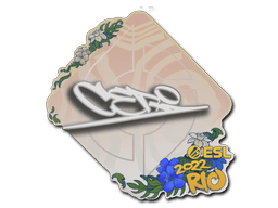 Rio 2022CeRq