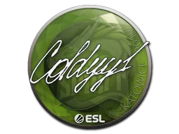 Katowice 2019COLDYY1