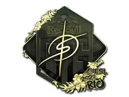 Rio 2022degster (Gold)