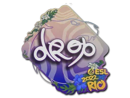 PaperRio 2022