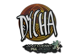 Antwerp 2022dycha