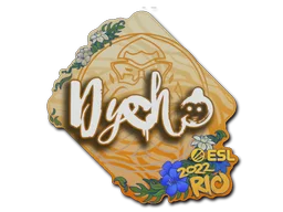 Rio 2022Dycha