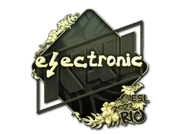 Rio 2022electronic (Gold)