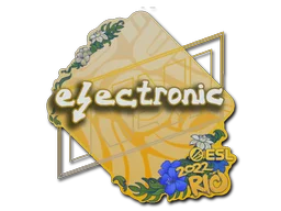 Rio 2022electronic