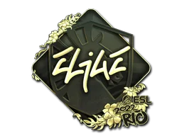 Rio 2022EliGE (Gold)