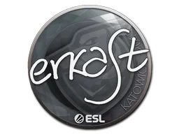 Katowice 2019erkaSt