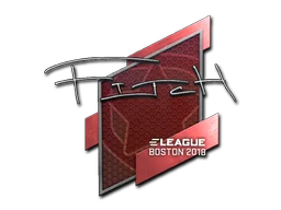 Boston 2018fitch