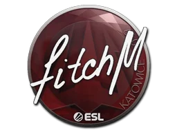Katowice 2019fitch
