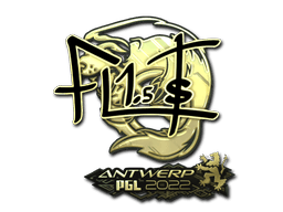 Antwerp 2022FL1T (Gold)