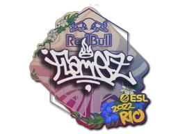 Rio 2022FlameZ