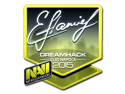 Cluj-Napoca 2015flamie (Foil)