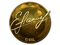 Katowice 2019flamie (Gold)