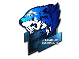 Boston 2018Flash Gaming (Foil)