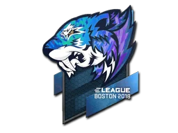 Boston 2018Flash Gaming (Holo)