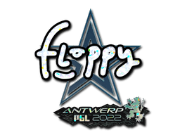 Antwerp 2022floppy (Glitter)