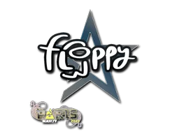 Paris 2023floppy