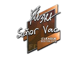 Boston 2018flusha