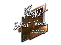 Boston 2018flusha (Foil)