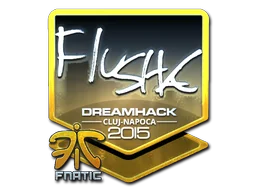 Cluj-Napoca 2015flusha (Foil)