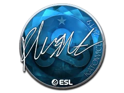 Katowice 2019flusha (Foil)