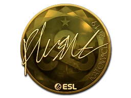Katowice 2019flusha (Gold)