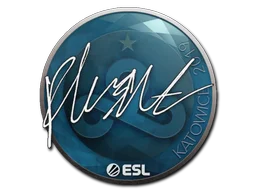 Katowice 2019flusha