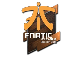 Boston 2018Fnatic